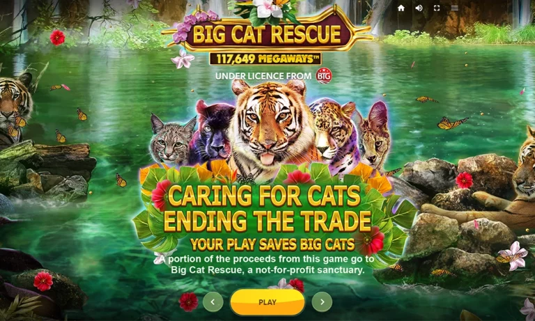 สล็อต Big Cat Rescue