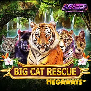 สล็อต Big Cat Rescue