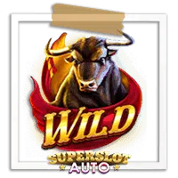 Wild Bulls Run Wild