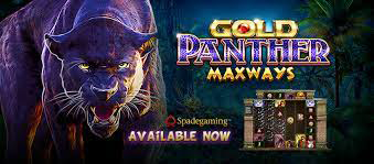 Gold Panther Maxways-1